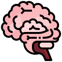 cerebro icon