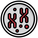 cromosoma icon