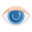 ojo icon