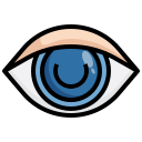 ojo icon