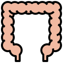 intestino grueso icon