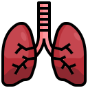 pulmones icon