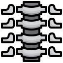 columna vertebral icon