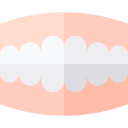 dentadura