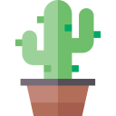 cactus icon