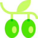 aceitunas icon