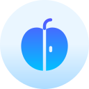 fruta icon