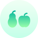 fruta icon