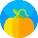 calabaza icon