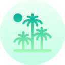 palmera icon