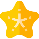 estrella de mar