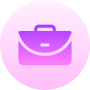 portafolio icon