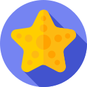 estrella de mar icon