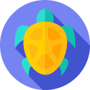 tortuga icon