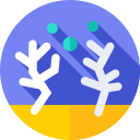 coral icon