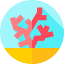 coral icon