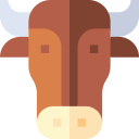 vaca 