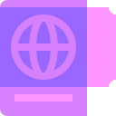 pasaporte icon