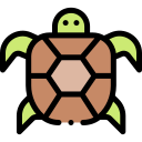 tortuga icon