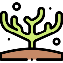 coral icon