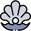 concha icon