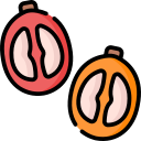 cereza icon