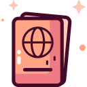 pasaporte icon