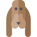 perro icon