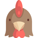 pollo