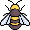 abeja