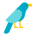 pájaro icon