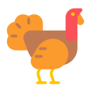 pavo icon