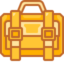 bolso icon