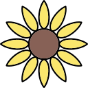 girasol