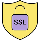 ssl icon