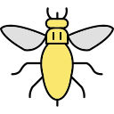 abeja