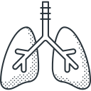 pulmones icon