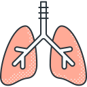 pulmones icon