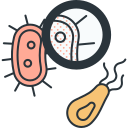 bacterias icon