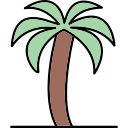 palmera