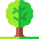 Árbol icon