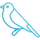 pájaro icon