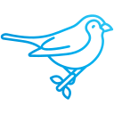 pájaro icon