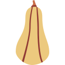 calabaza butternut icon