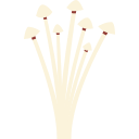 enoki icon