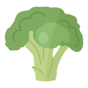 brócoli icon