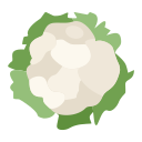 coliflor icon