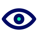 ojo icon