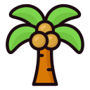 palmera icon