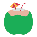 bebida de coco icon